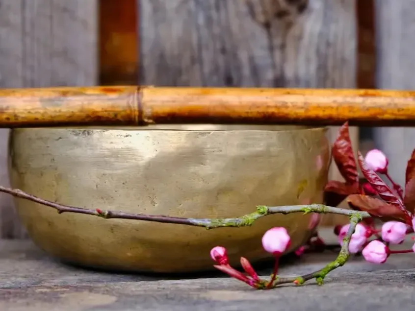 Qi Gong Training - BSV Freude am Leben e.V.